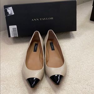Ann Taylor Elizabeth Pointy Flat